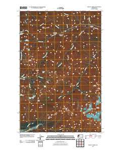 2011 Map of Mount Carrie, 2011 Print
