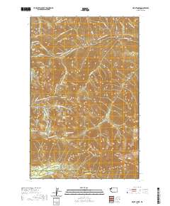 2020 Map of Mount Carrie, 2020 Print