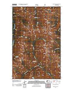 2011 Map of Mount Lago, 2011 Print
