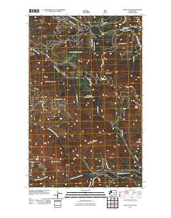 2011 Map of Mount Leona, 2011 Print