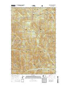 2014 Map of Mount Leona, 2014 Print