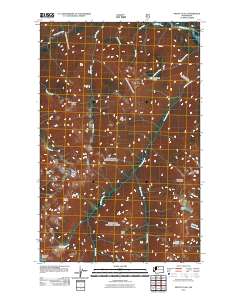 2011 Map of Mount Lyall, 2011 Print