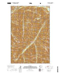 2020 Map of Mount Lyall, 2020 Print
