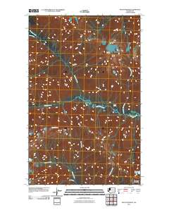 2011 Map of Mount Prophet, 2011 Print