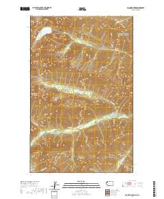 2020 Map of Mount Spickard, 2020 Print