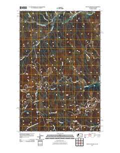 2011 Map of Mount Spokane, 2011 Print