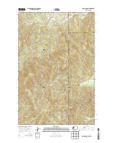 2014 Map of Mount Spokane, 2014 Print