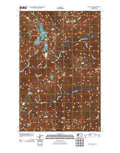 2011 Map of Mount Steel, 2011 Print