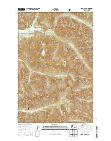2014 Map of Mount Stickney, 2014 Print