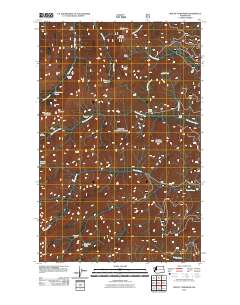 2011 Map of Mount Townsend, 2011 Print