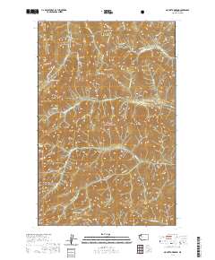 2020 Map of Mount Townsend, 2020 Print