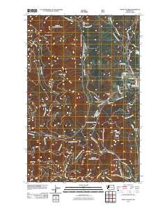 2011 Map of Mount Walker, 2011 Print