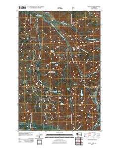2011 Map of Mount Wow, 2011 Print