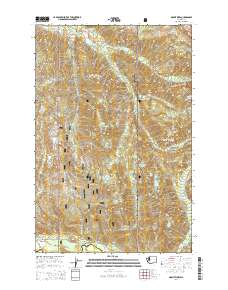 2014 Map of Mount Wow, 2014 Print