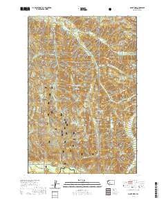 2020 Map of Mount Wow, 2020 Print