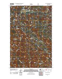 2011 Map of Mount Zion, 2011 Print