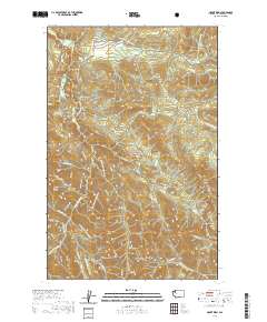 2020 Map of Mount Zion, 2020 Print