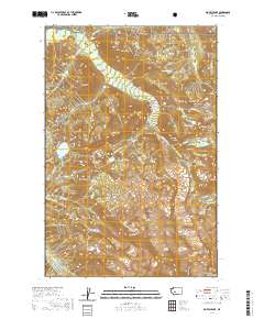 2020 Map of Mowich Lake, 2020 Print