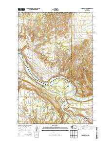 2014 Map of Nine Mile Falls, 2014 Print