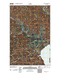 2011 Map of Ninemile Flat, 2011 Print