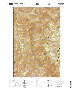 2020 Map of Old Baldy, 2020 Print