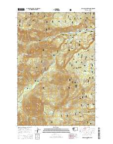 2014 Map of Old Scab Mountain, 2014 Print