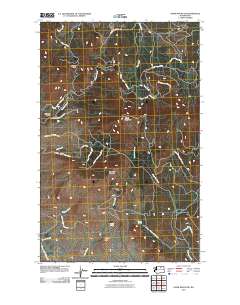 2011 Map of Omak Mountain, 2011 Print