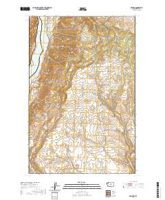 2020 Map of Orondo, 2020 Print