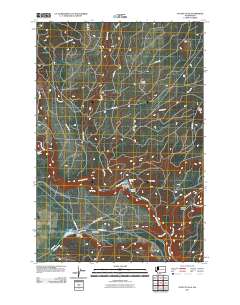 2011 Map of Outlet Falls, 2011 Print