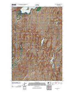 2011 Map of Palm Lake, 2011 Print