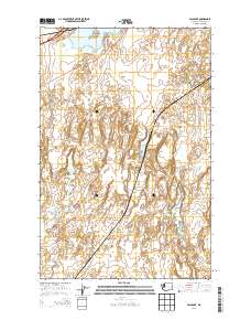 2013 Map of Palm Lake, 2013 Print