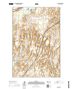 2020 Map of Palm Lake, 2020 Print
