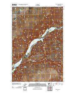 2011 Map of Park Lake, 2011 Print