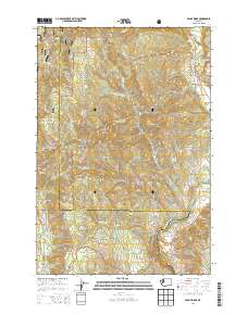 2014 Map of Penny Ridge, 2014 Print