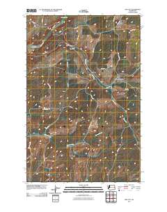 2011 Map of Pine City, 2011 Print