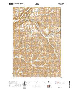 2020 Map of Pine City, 2020 Print