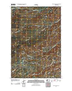 2011 Map of Piscoe Meadow, 2011 Print