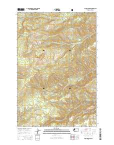 2014 Map of Piscoe Meadow, 2014 Print