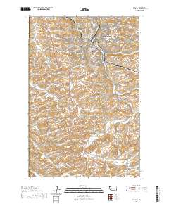 2020 Map of Pullman, 2020 Print