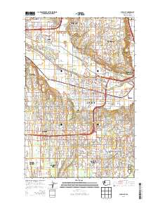 2014 Map of Puyallup, 2014 Print