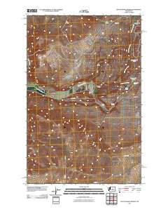 2011 Map of Rattlesnake Springs, 2011 Print
