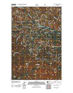 2011 Map of Raven Roost, 2011 Print