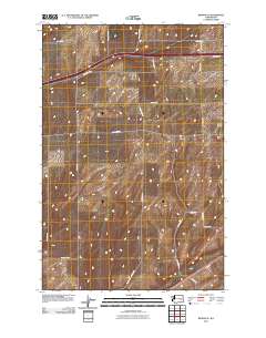 2011 Map of Reiman SE, 2011 Print