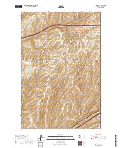 2020 Map of Reiman SE, 2020 Print