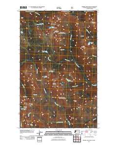 2011 Map of Remmel Mountain, 2011 Print