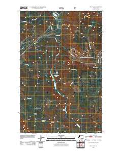 2011 Map of Riley Lake, 2011 Print