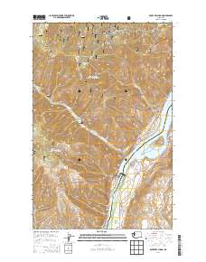 2014 Map of Rocky Reach Dam, 2014 Print