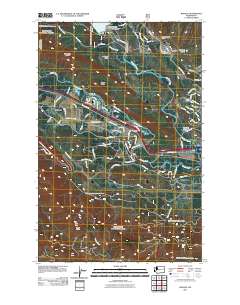 2011 Map of Ronald, 2011 Print