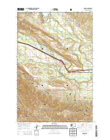 2014 Map of Ronald, 2014 Print
