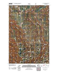 2011 Map of Rose Springs, 2011 Print
